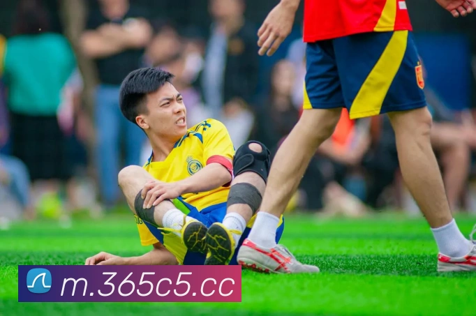 bet365 官方直营发展历程